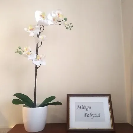 American House Hennela Varsavia