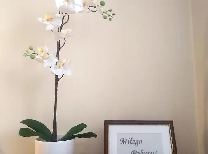 American House Hennela Warsaw